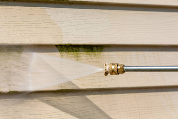 Best House Pressure Washing  in Plattsburgh, NY